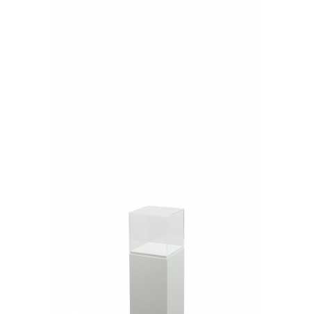 Plexiglas vitrinekap | plexiglas stolp | maquettekap op maat