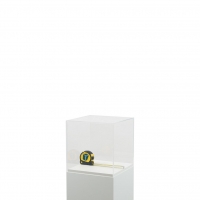 Plexiglas vitrinekap | plexiglas stolp | maquettekap op maat