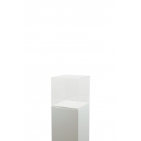 Plexiglas vitrinekap | plexiglas stolp | maquettekap op maat