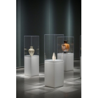 Plexiglas vitrinekap | plexiglas stolp | maquettekap op maat