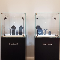 vitrine display deur