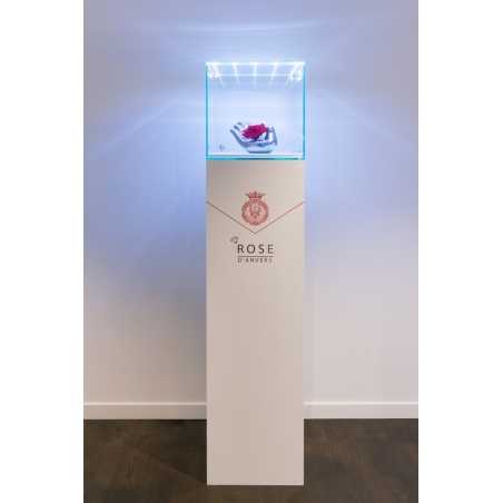 Glazen beschermkap met geintegreerde LED-verlichting