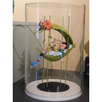 Ronde plexiglas beschermkappen voor productpresentatie