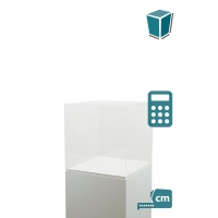 Plexiglas vitrinekap | plexiglas stolp | maquettekap op maat