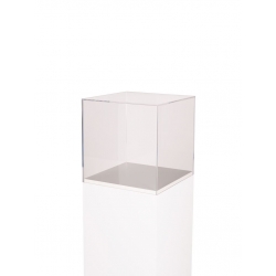 B-KWALITEIT - plexiglas vitrinekap, 25 x 25 x 25 cm (LxBxH)