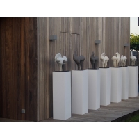 Vitrine LED-verlichting & Sokkel Accessoires