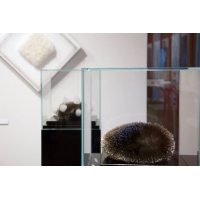 Glazen vitrinekap | glazen stolp voor op sokkel | museumvitrine