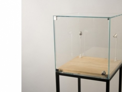 Specialist in vitrine-kappen met of zonder sokkels
